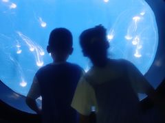 -烟台海昌鲸鲨海洋公园