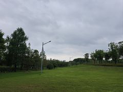 -苏州湾体育公园