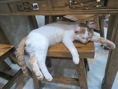 -刘信牛羊肉泡馍小炒(回民街店)