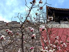 -东华门大街小区