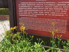 -大兴滨河森林公园