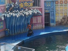 -华夏文旅海洋公园