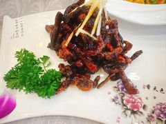 -古南都·清真绿柳居菜馆(太平南路店)