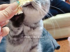 -来伊份(上海市静安区万航渡路889广场店)