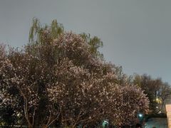 -北京化工大学(东校区)
