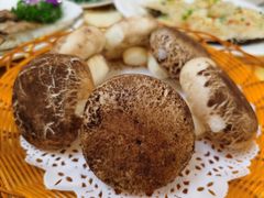 蘑菇煲-旺富东海大酒楼(海鲜街店)