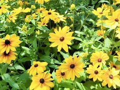 -长春公园(普阳街道)