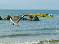 -北戴河东海水浴场