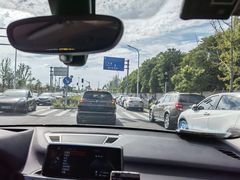 -上海滨江森林公园