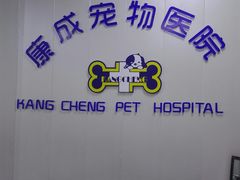 -康成宠物医院24H·CT·核磁共振