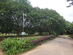 -南沙蒲洲花园
