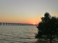 -宝安西湾红树林湿地公园