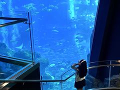 -成都浩海立方海洋公园