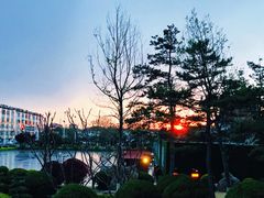 -宾朋美食海鲜餐厅·特色美食专访(兴海路店)