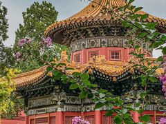 -故宫博物院(故宫)