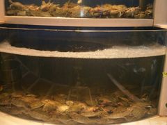 -海天盛宴新派海鲜自助餐厅(群力店)
