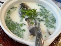 -紫藤园·天目湖大鱼头(南山竹海店)