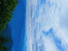 -王顺山国家森林公园