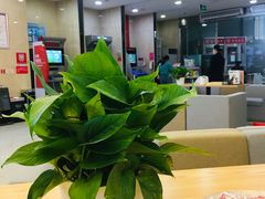 -招商银行(西安分行)