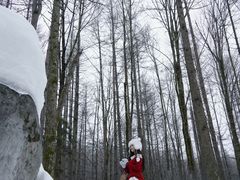 -洛阳白云山景区