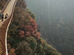 -少华山国家森林公园