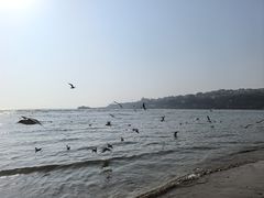 -青岛第一海水浴场