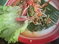 -Kat's Kitchen
