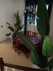 -禧悦府国际月子会所(总店)