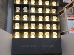 -line friends(明洞旗舰店)