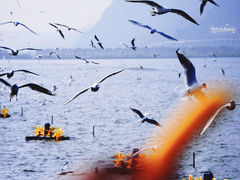 -海埂大坝