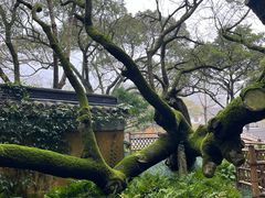 -普陀山风景名胜区-法雨禅寺