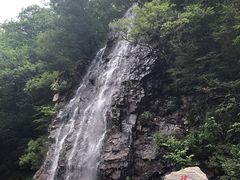 -龙道沟景区