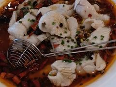 水煮鲈鱼-华师大厦酒店·华粤轩中餐厅