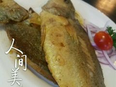-马迭尔德式西餐精酿啤酒屋(中央大街店)