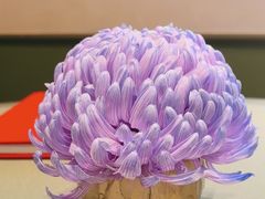 -老吉堂上海本帮菜(望京万象汇店)