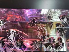 -三旗百汇商品城