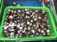 -渔民船说·北塘海鲜·天津菜·海肠捞饭(北塘古镇店)