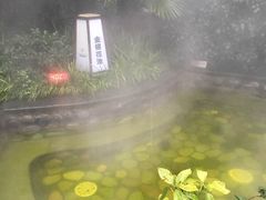 -杭州第一世界大酒店·云曼温泉
