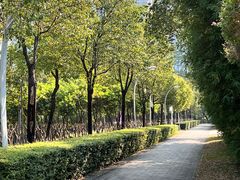 -深圳四季酒店·馥自助餐厅