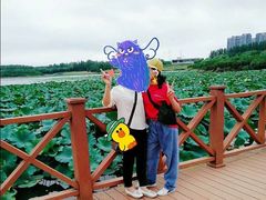-丁香湖公园