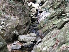 -梧桐山风景名胜区