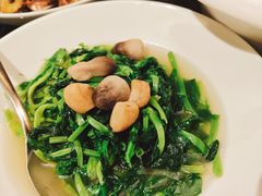 -万豪中餐厅·粤菜·北京粤财JW万豪酒店