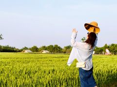 -汉长安城未央宫国家考古遗址公园