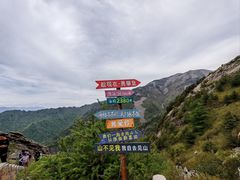 -朱雀国家森林公园