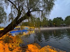 -长春市南湖公园