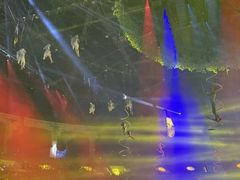 -灵玲国际马戏城