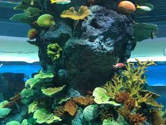 -福州罗源湾海洋世界旅游区