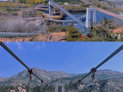 -青岛森林野生动物世界