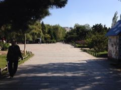 iphone_upload_pic-沈阳南湖公园