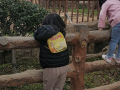 -南昌动物园